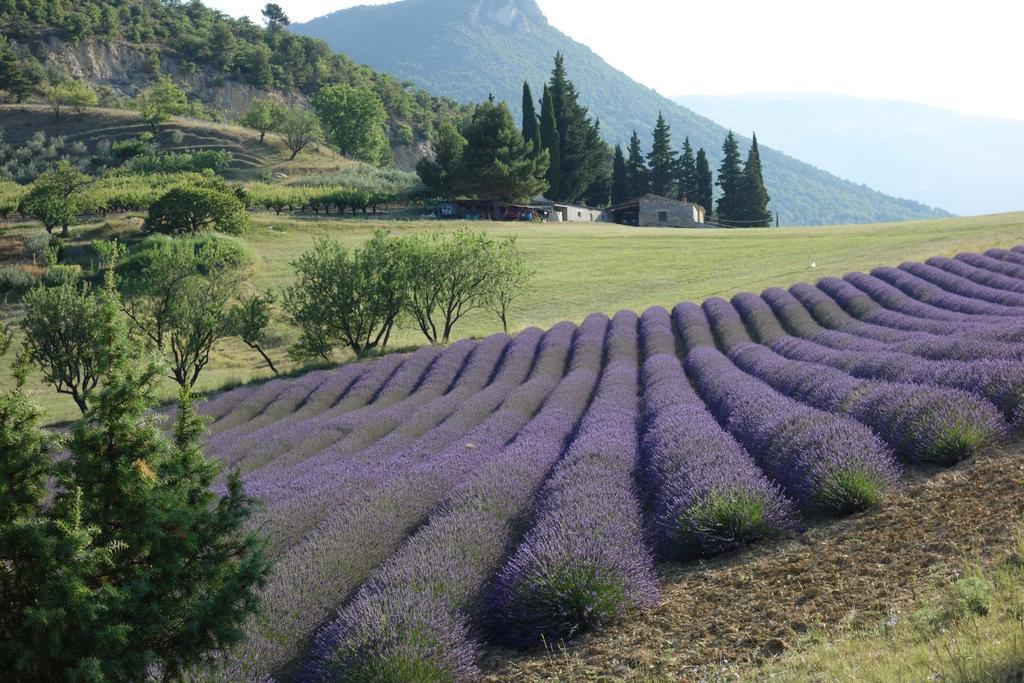 Le Chambron Daire Condorcet Dış mekan fotoğraf