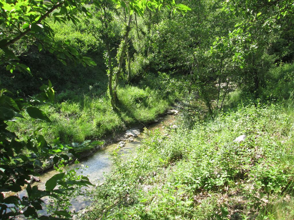 Le Chambron Daire Condorcet Dış mekan fotoğraf